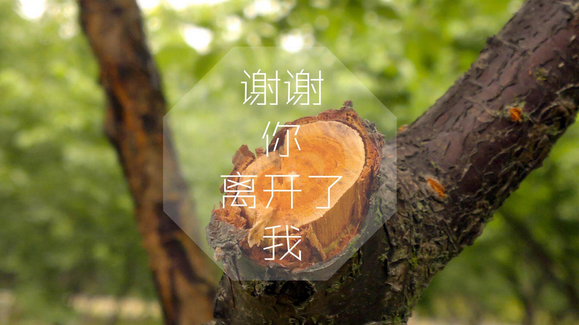 意甲球队VAR系统中语义理解模块减少判罚争议的应用，var规则