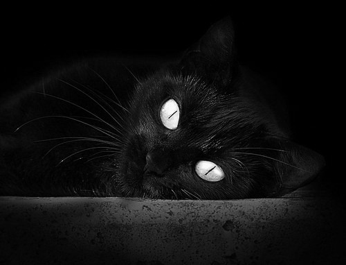 五大联赛替补席深度决定赛季持续性,五大联赛替补席深度决定赛季持续性进球